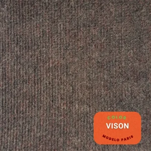 Vison