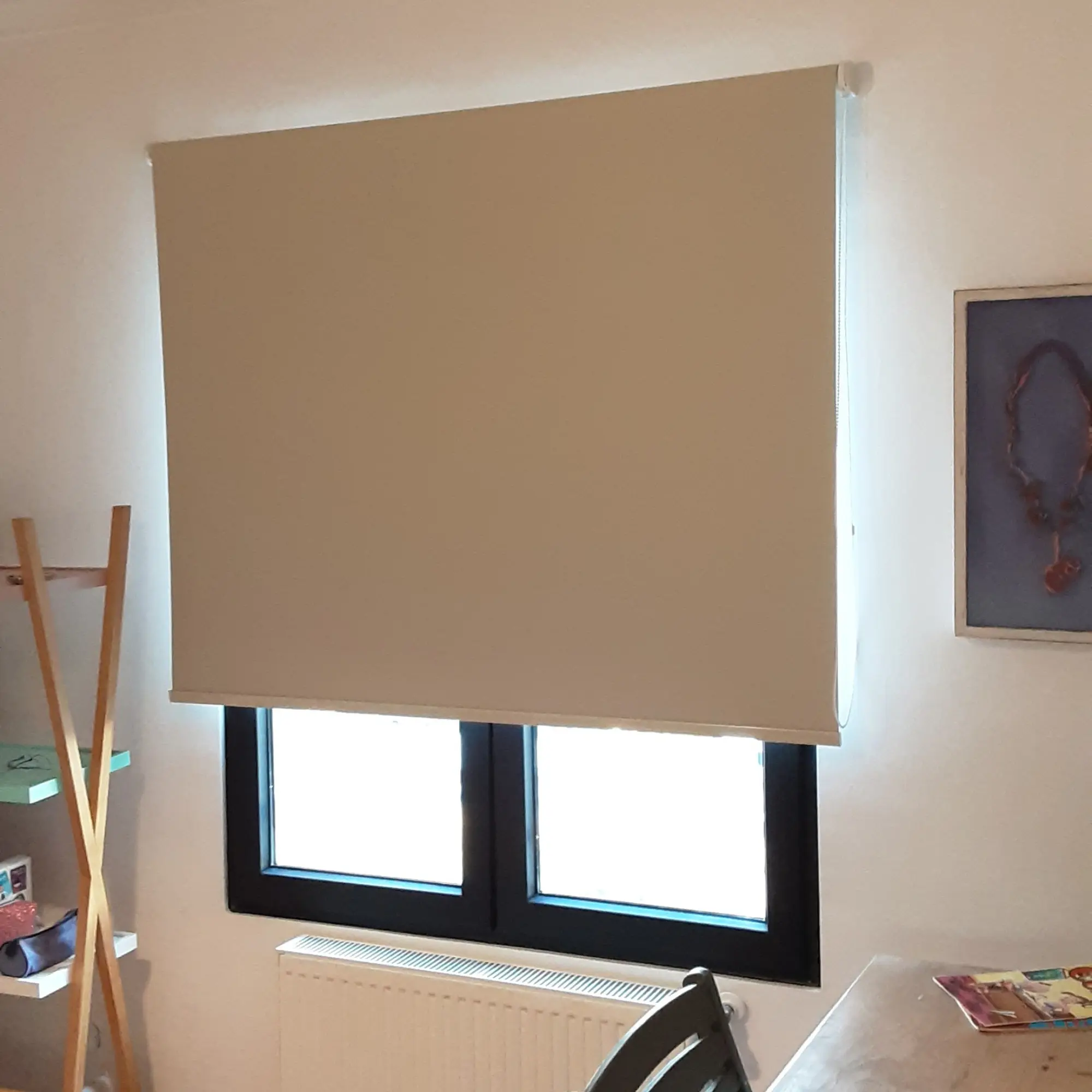 Cortinas Roller Blackout