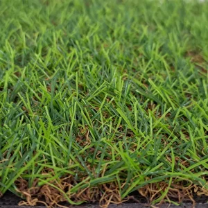 Pasto Sintético 20mm - Linea Premium