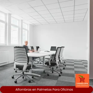 Alfombras en Palmetas para oficinas