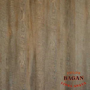 Bagan